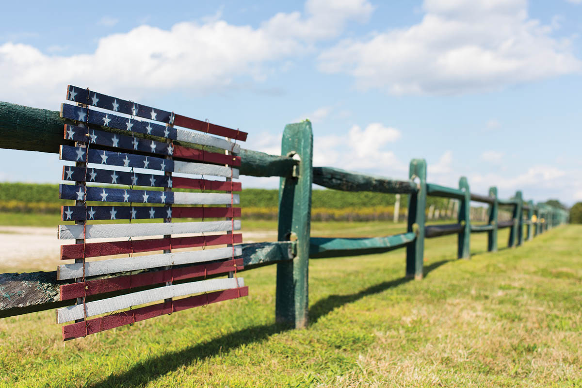 The Hamptons area is decorated with more flag folk art than any other city I - photo 13