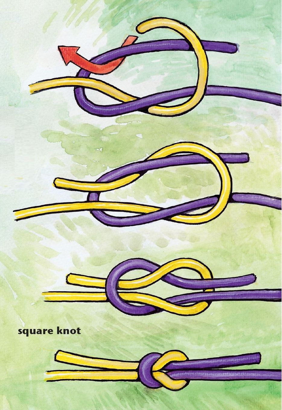 The granny knot below is essentially an improperly tied square knot see the - photo 6