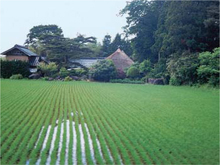 In Japan inspirations for sashiko are all around work clothes drying against - photo 9