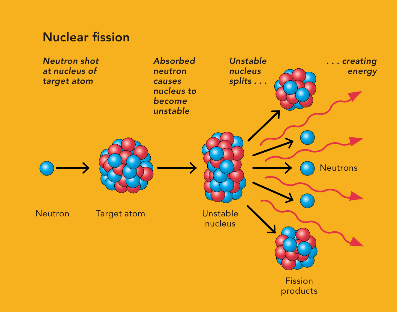 The fusion process releases more energy than the fission process which is why - photo 6