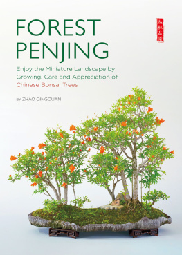 Zhao Qingquan Forest Penjing: Enjoy the Miniature Landscape by Growing, Care and Appreciation of Chinese Bonsai Trees