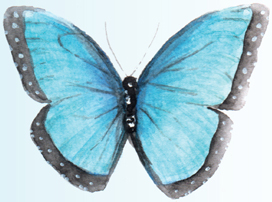 The gorgeous bright blue tones in this butterfly allow it to really stand out - photo 11