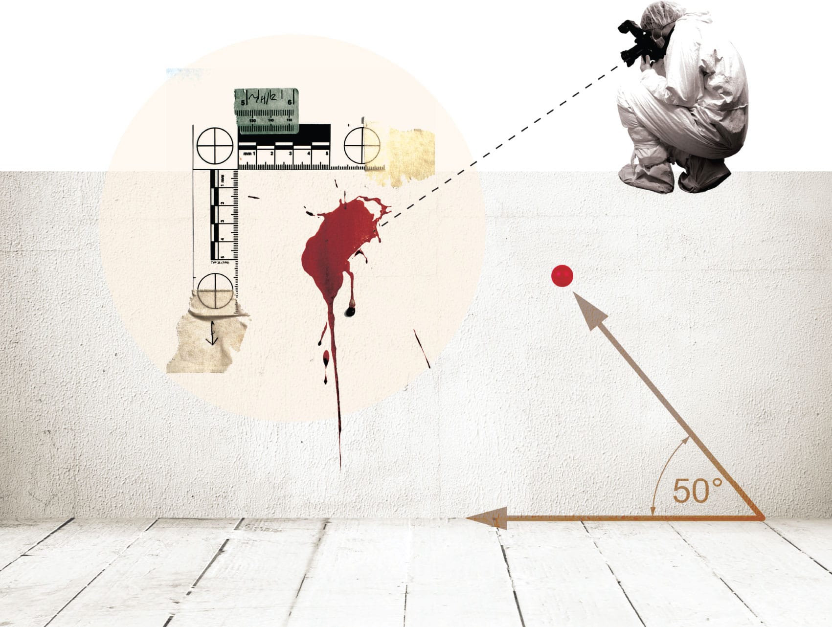 Blood patterns can be analysed to determine movements of the victim and their - photo 4