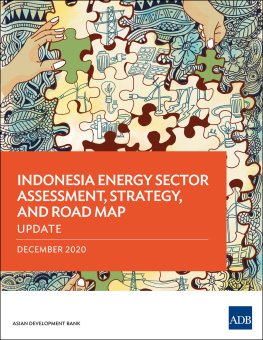 Asian Development Bank - Indonesia Energy Sector Assessment, Strategy, and Road Map—Update