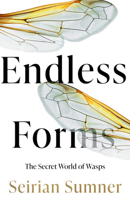Seirian Sumner Endless Forms: The Secret World of Wasps
