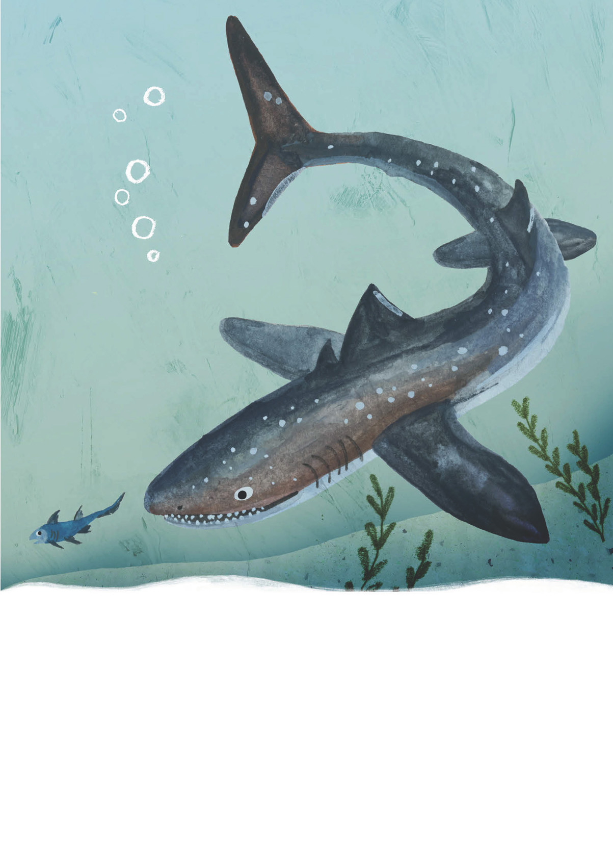 The Cladoselache lived back in the Devonian period and like all sharks it was - photo 11