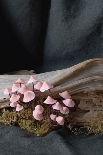 Uncommon Paper Flowers A Stunning Guide to Extraordinary Botanicals and How to Craft Them - photo 5