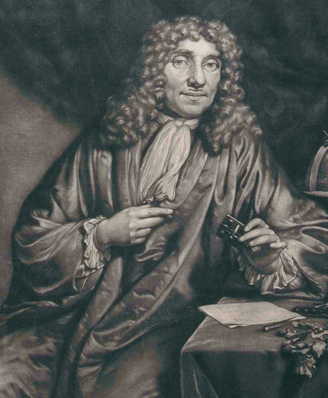 Engraving of Antoni van Leeuwenhoek by Verkolje A letter from Antoni van - photo 5