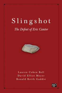 David Elliot Meyer - Slingshot : the defeat of Eric Cantor