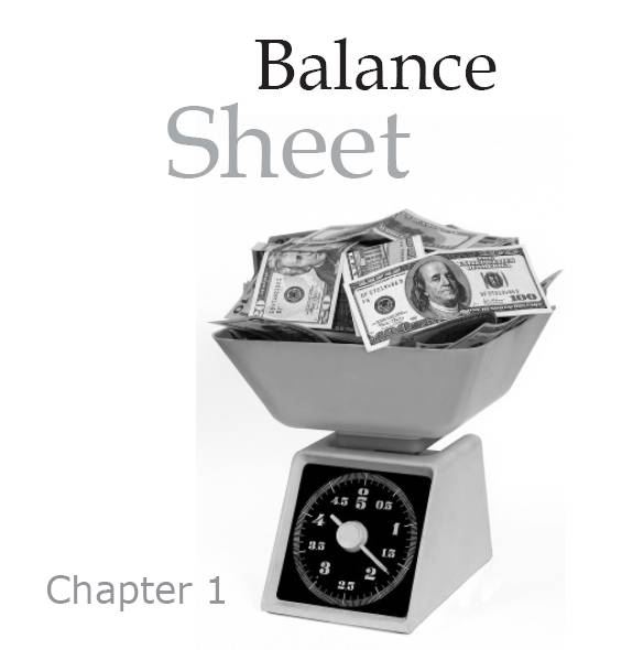 Balance Sheet The balance sheet is a financial statement that shows what a - photo 2