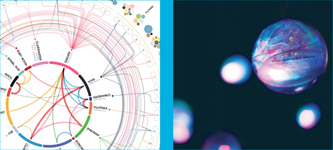 Data Sketches A Journey of Imagination Exploration and Beautiful Data Visualizations - photo 21