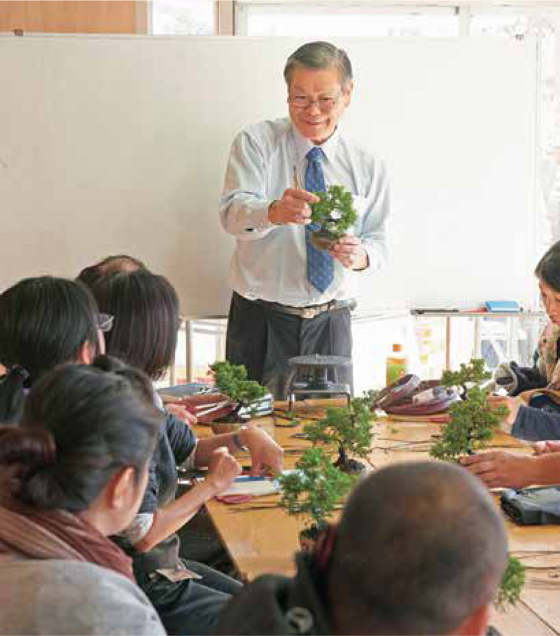 MEMO Bonsai are classified by the height of the tree Large-size also - photo 6