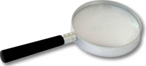 S EEING THE W HOLE P ICTURE A magnifying glass is a helpful tool for artists - photo 8