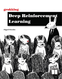 Miguel Morales - Grokking Deep Reinforcement Learning