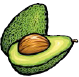 Avocado A Global History - image 4