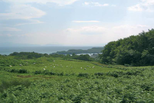 Eigg a true Scottish island with pasturage for many sheep Another definition - photo 5