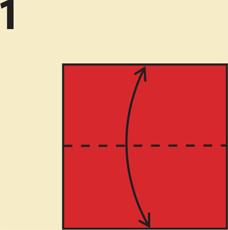 Begin with the colored side up if you are using origami paper Fold the bottom - photo 20