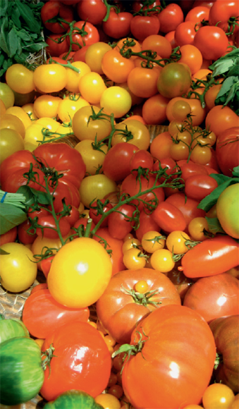 A colourful variety of tomatoes in Borough Market London Five new - photo 6