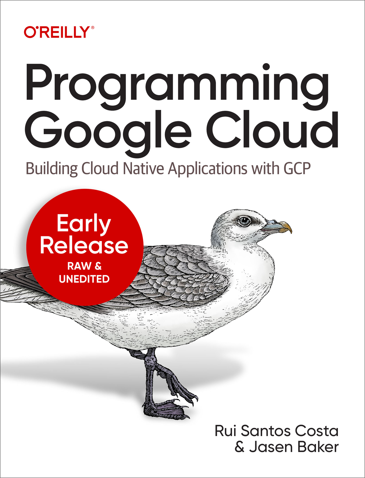 Programming Google Cloud by Rui Santos Costa and Jasen Baker Copyright 2023 - photo 1