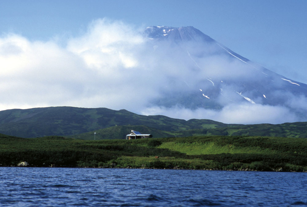 Cabin volcano and lake PHOTO RENO SOMMERHALDERFlowers in Kambalnoye PHOTO - photo 24