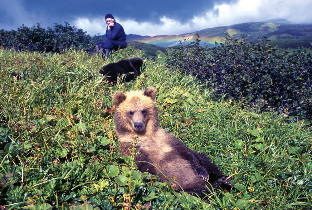 Charlie and growing cubs PHOTO RENO SOMMERHALDERCub with salmon PHOTO CHARLIE - photo 26