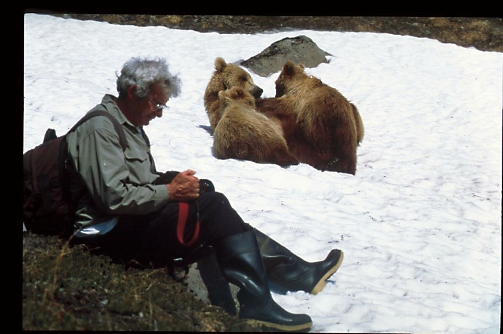 Charlie with Brandy and cubs PHOTO CHARLIE AND MAUREEN ENNSBrown bear family - photo 1