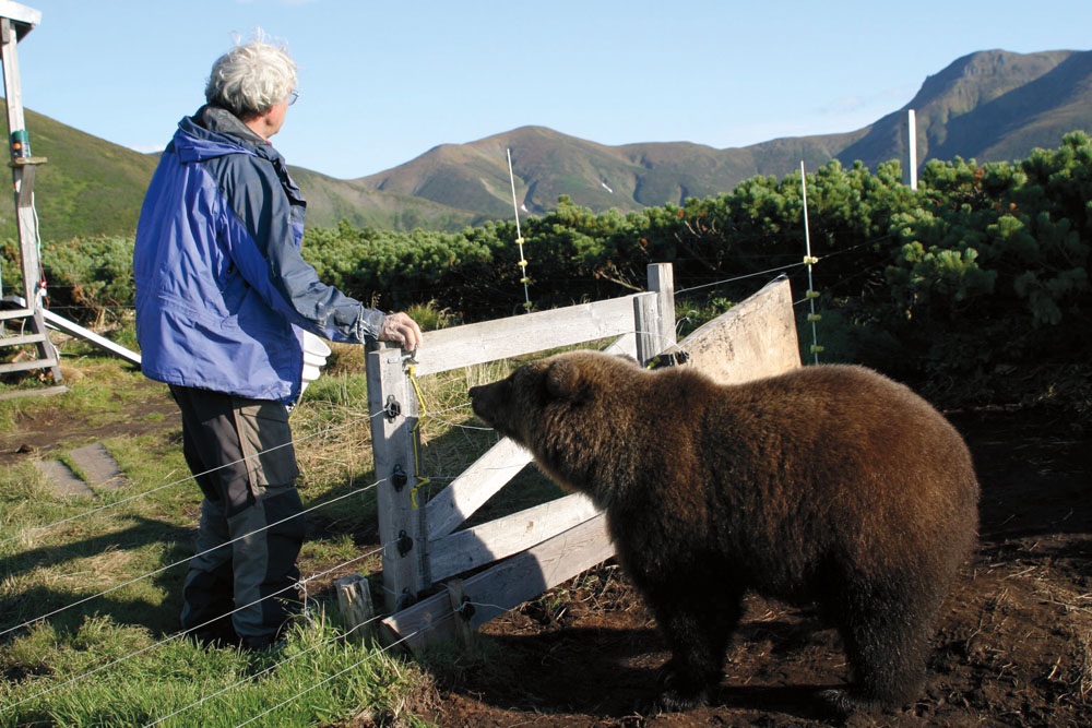 Charlie with cub at compound PHOTO JEFF TURNERSpawning crimson salmon PHOTO - photo 13