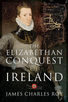 James Charles Roy - The Elizabethan Conquest of Ireland: Brysketts Cottage