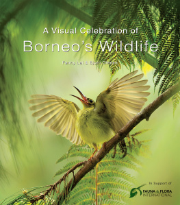 Fanny Lai - A Visual Celebration of Borneos Wildlife