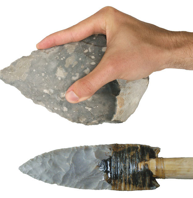 A stone axe head and Clovis spear point perhaps the earliest examples of - photo 6