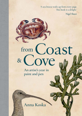 Anna Koska From Coast & Cove: An Artist’s Year in Pen and Paint