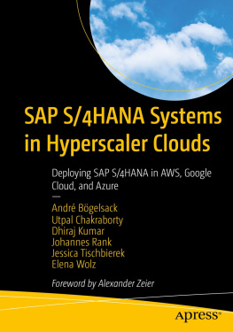 André Bögelsack SAP S/4HANA Systems in Hyperscaler Clouds: Deploying SAP S/4HANA in AWS, Google Cloud, and Azure
