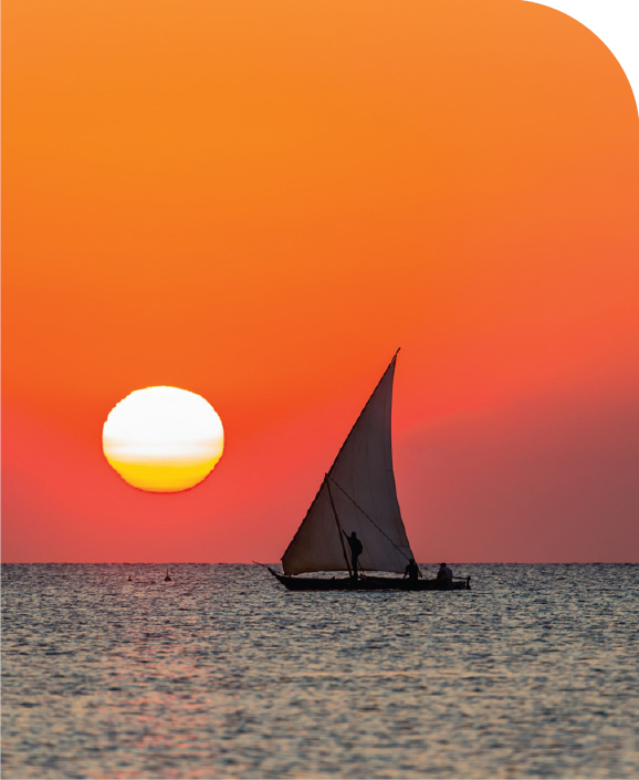 The large billowing sail of the traditional dhow is a typical sight off - photo 28