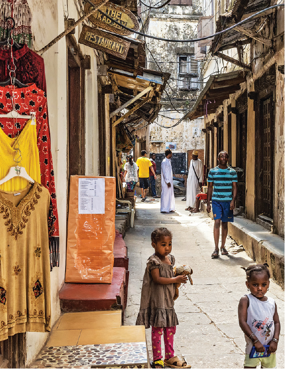 Tall houses line the labyrinthine alleyways of Stone Town NFS Zanzibar - photo 10