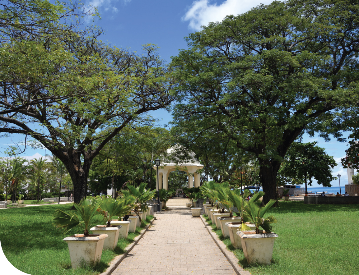 The newly landscaped Forodhani Gardens have become the pulsing heart of Stone - photo 14