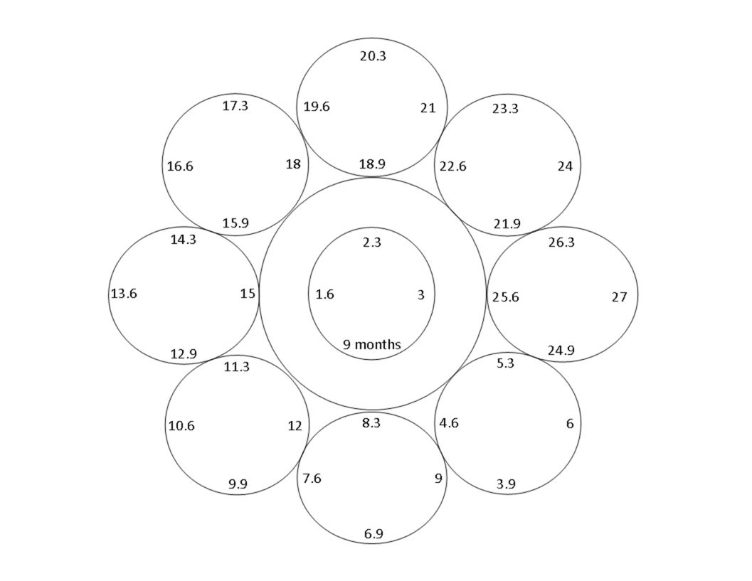 The Circle of Life lesson tells us where we are on the Wheel of Life based on - photo 4