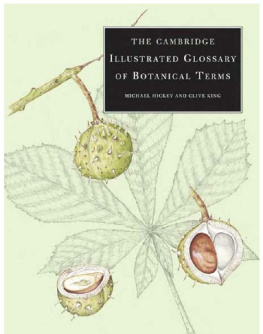 Michael Hickey - The Cambridge Illustrated Glossary of Botanical Terms-(2001)