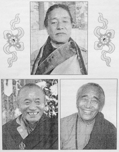 Dedicated in the honor and memory of His Holiness Dudjom Rinpoche Venerable - photo 3