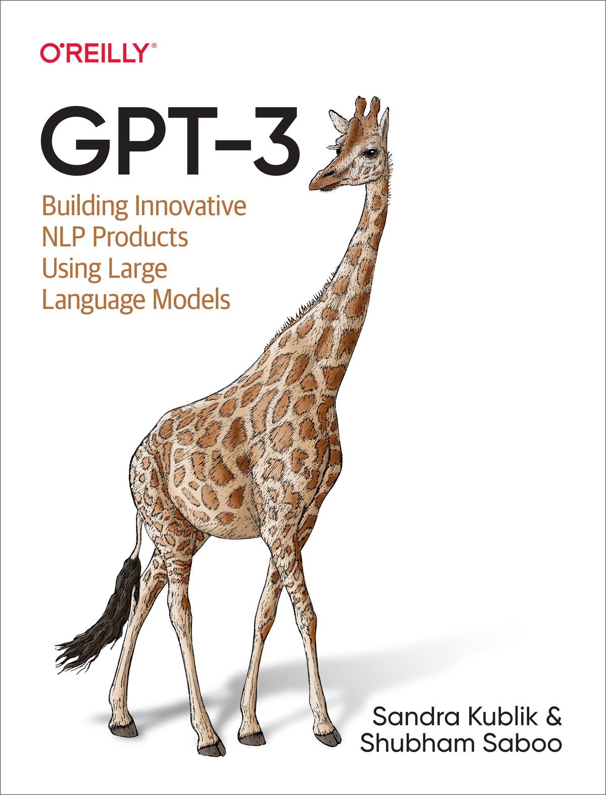 Praise for GPT-3 This book is a perfect starting point for practitioners and - photo 1