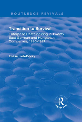 Enese Lieb-Doczy - Transition in Survival: Enterprise Restructuring in Twenty East German and Hungarian Companies 1990-1997