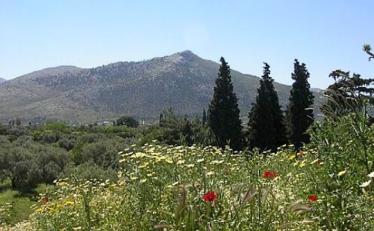 Adam Carrs picture of the site of the battle today The Athenianscharged - photo 3