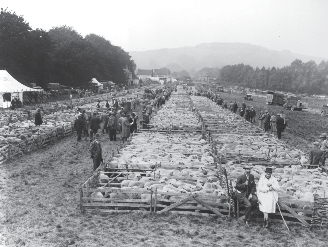 Founded by 1803 Findon Sheep Fair photographed in 1931 continues to be held - photo 5