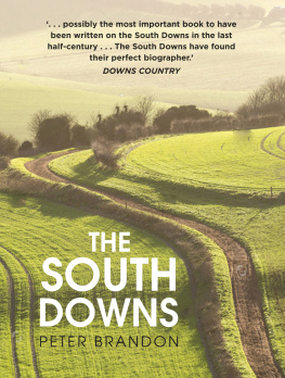 Peter Brandon - The South Downs