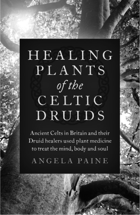 Healing Plants of the Celtic Druids Ancient Celts in Britain and their Druid - photo 3