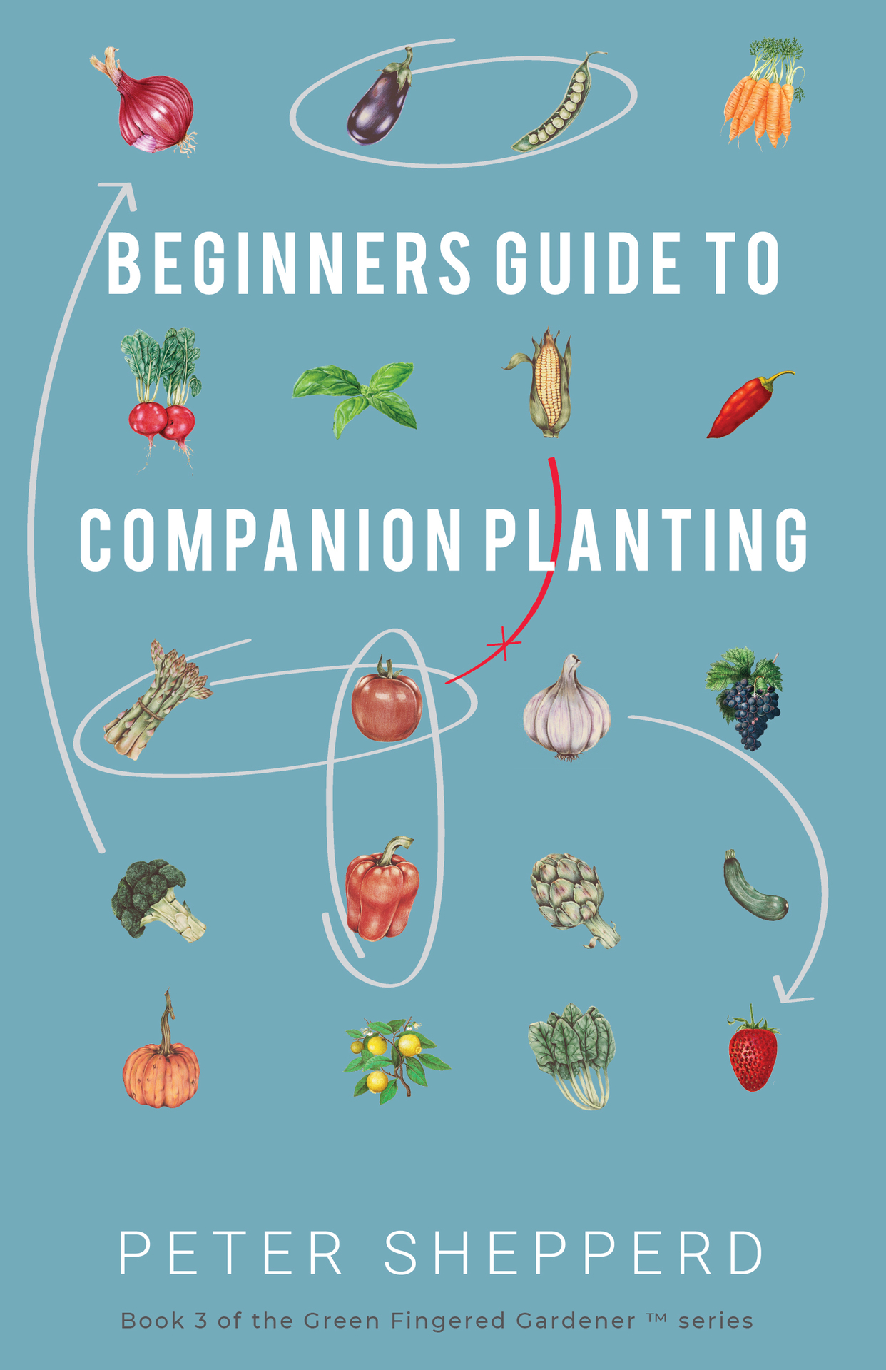 Beginners Guide To Companion Planting Gardening methods using plant partners to - photo 1