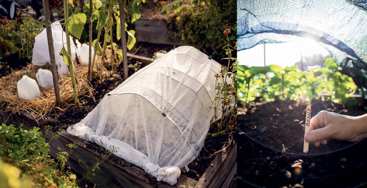 If youre new to garden covers this may all sound like a lot of work but trust - photo 9