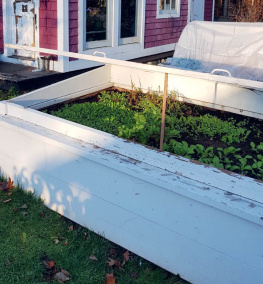 Niki Jabbour Growing Under Cover: Techniques for a More Productive, Weather-Resistant, Pest-Free Vegetable Garden