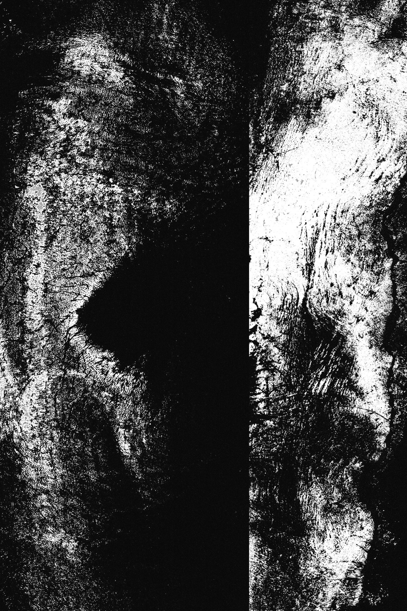 The other side of silence 2003 black and white photographic image imprints - photo 4