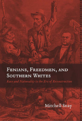 Mitchell Snay Fenians, Freedmen, and Southern Whites: Race and Nationality in the Era of Reconstruction