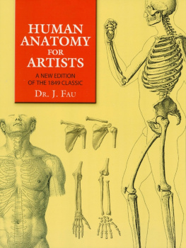 Dr. J. Fau Human Anatomy for Artists: A New Edition of the 1849 Classic